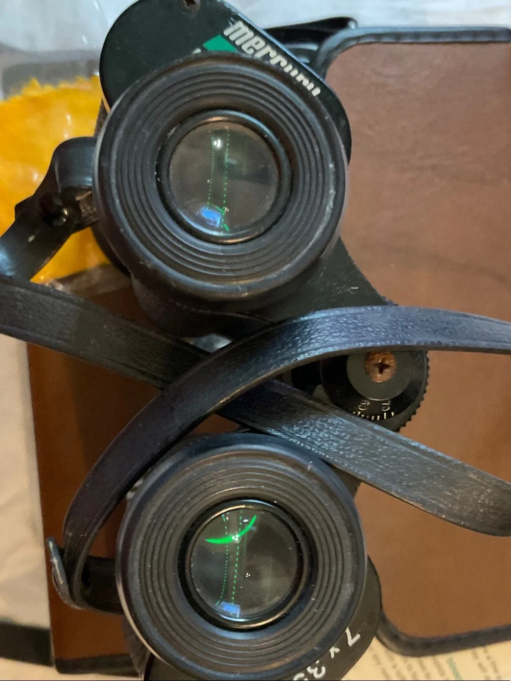 Bushnell Black Binoculars with Brown Case and Neck Strap